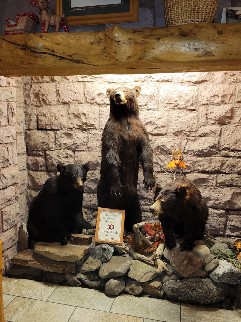 Yellowstone National Park restaurant interior features a taxidermy three-bear display on rocks beside a stone wall.