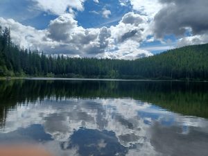 North Lion Lake Picnic Site sits along a tranquil lake framed by evergreen forests in Glacier National Park.