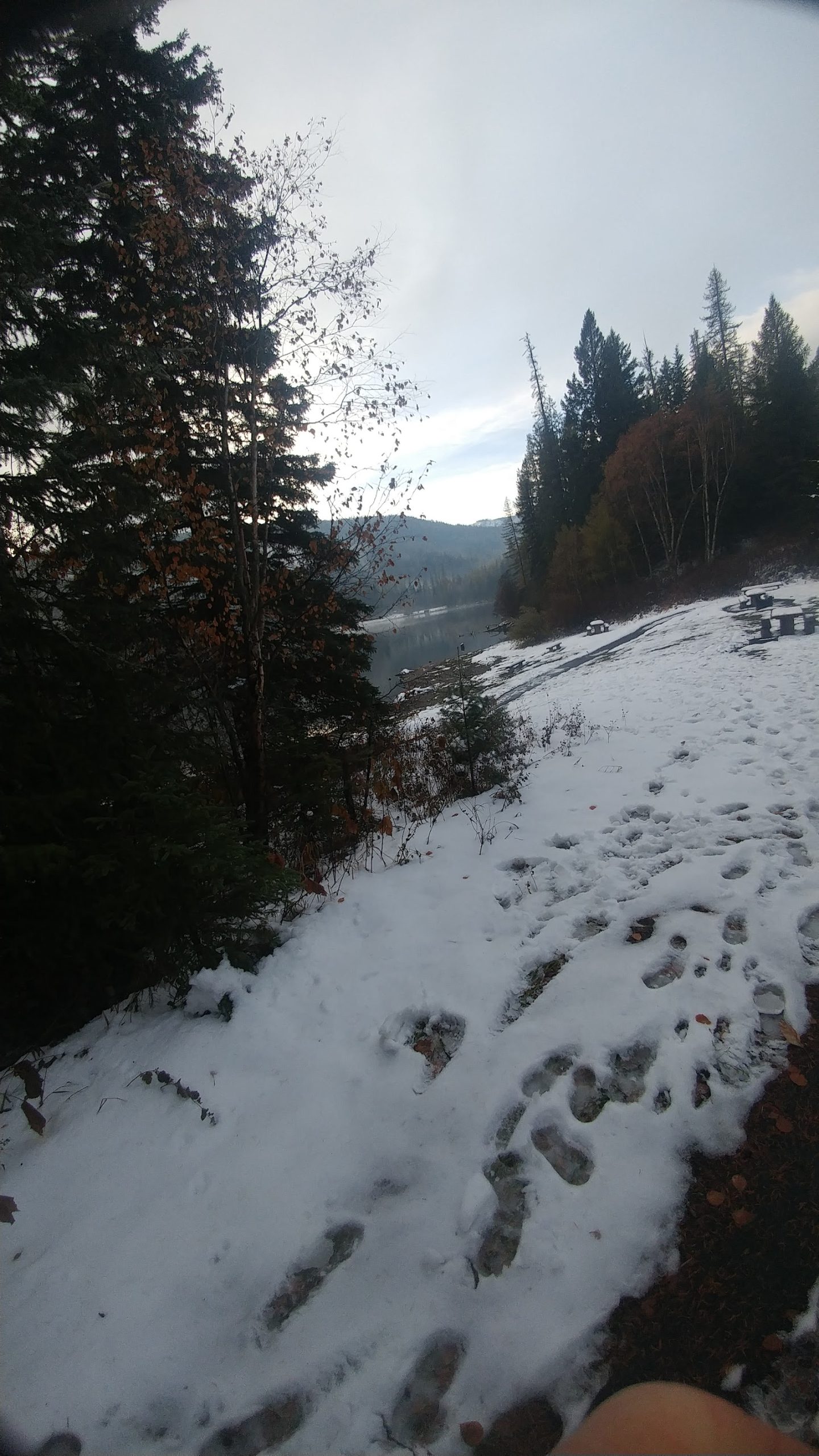 North Lion Lake Picnic Site at Glacier National Park features snow-dusted shore, evergreen trees, and a tranquil alpine lake.
