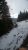 Snowy lakeside scene near Martin City in Glacier National Park with pine trees, footprints, and a calm distant lake.