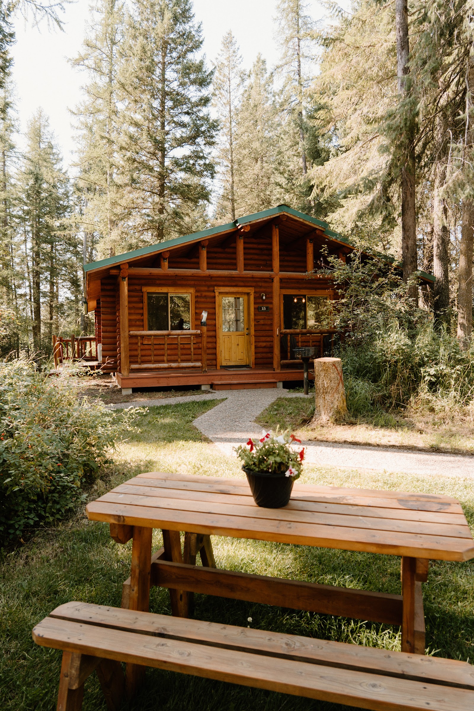 North Forty Resort cabin at Glacier National Park surrounded by pines, with a wooden picnic table in the foreground.