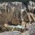 Steep rugged canyon walls of beige and gray rock surround a fast turquoise river at the canyon floor in Yellowstone National Park.