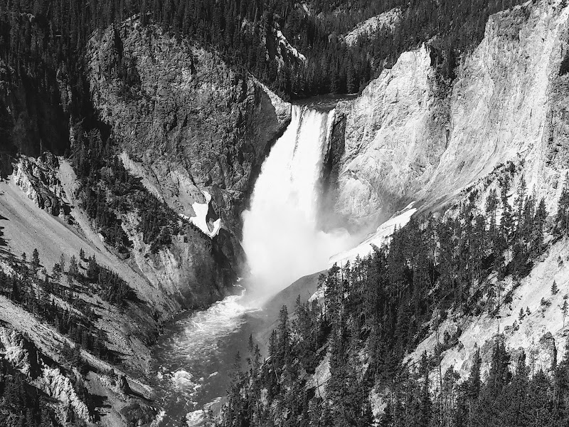 Waterfall plunges between tall rocky canyon walls into a wide river, with evergreen trees lining the slopes in Yellowstone National Park.