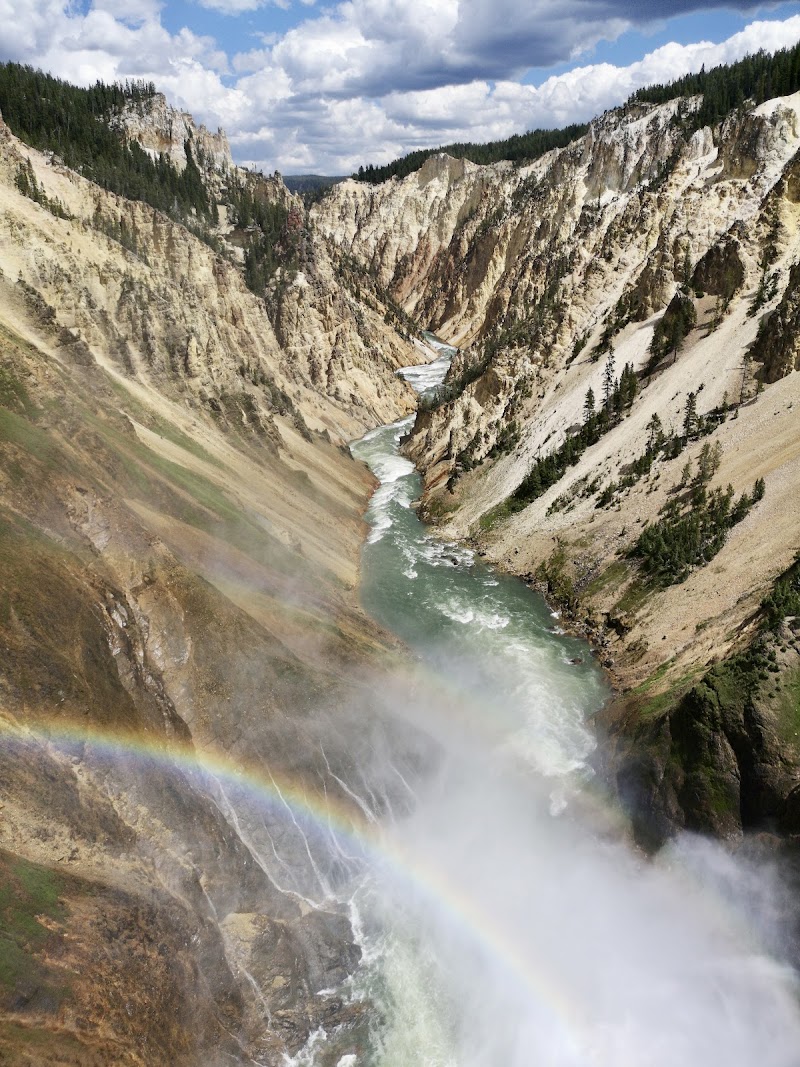 Looking down a deep canyon in Yellowstone National Park, turquoise river winding between limestone cliffs with a rainbow mist at a waterfall.