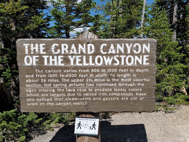 Cozy interior with wooden shelves and warm lighting