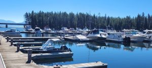 Campsite row with RVs nestled among pine trees