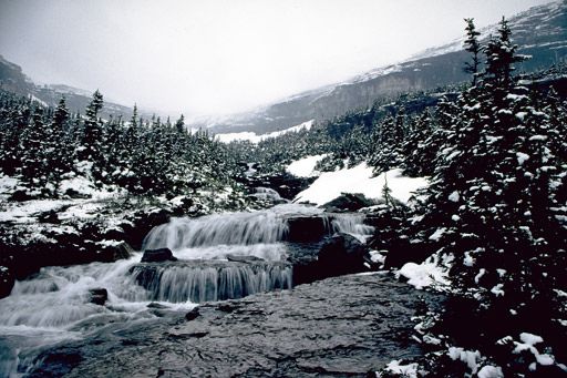 Snowy evergreen forest along a rocky stream with a multi-tiered waterfall in Glacier National Park.