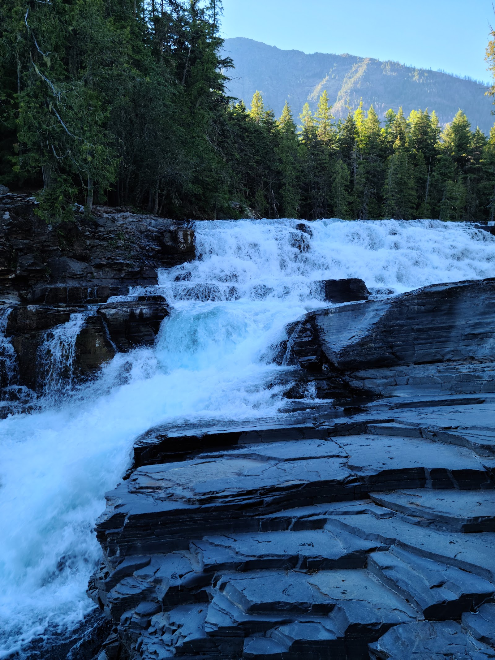 Dense evergreen forest beside dark layered rocks as a wide, multi-tiered waterfall crashes in Glacier National Park with distant mountains.