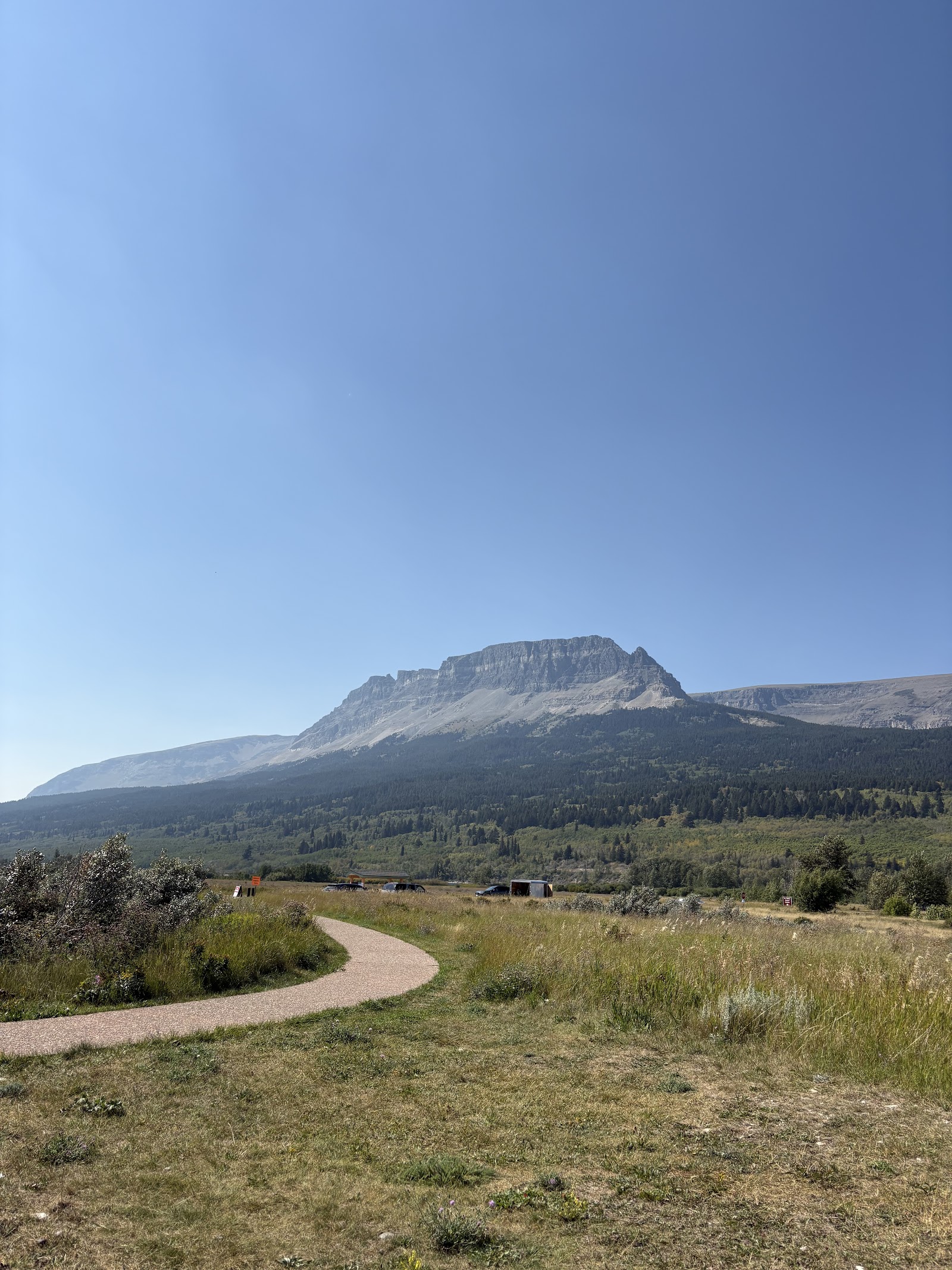 Winding gravel path through a grassy meadow leads toward forested foothills and a rugged mountain range in Glacier National Park.