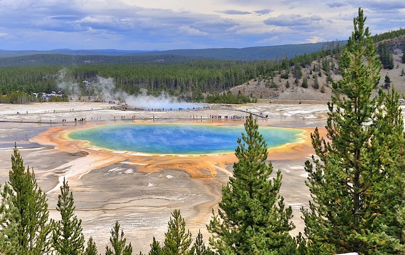 Colorful hot spring with a bright blue center and orange rim, boardwalks, and pine trees in Yellowstone National Park.
