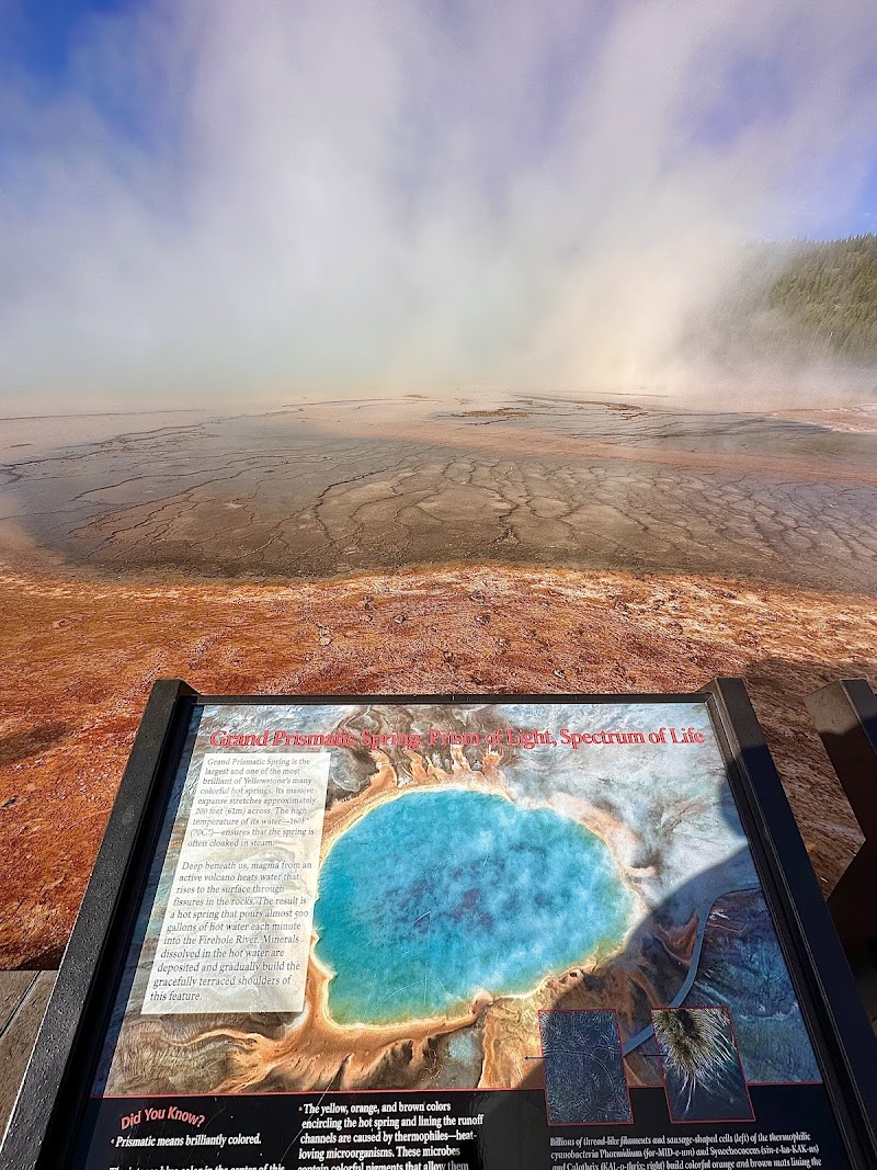 Grand Prismatic Spring at Yellowstone National Park glows with rainbow hues over a steaming pool at Midway Geyser Basin.