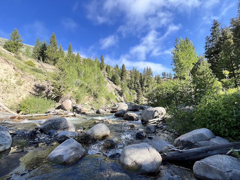 Shallow river winds around smooth boulders with green pines and rocky hills beneath a blue sky in Yellowstone National Park.