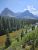 Snow-capped peaks rise over a dense evergreen forest and a brown river at Glacier National Park, with a rocky slope and lush shrubs in the foreground.