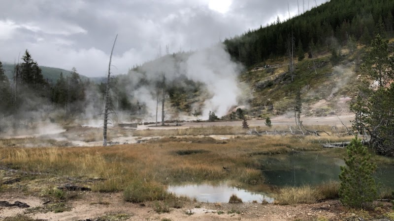 Steam vents rise from a geothermal field with muddy pools, sparse grasses, and pine hills in Yellowstone National Park.