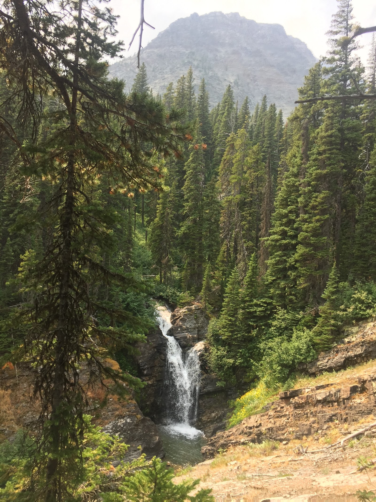 Dense evergreen forest frames a rocky waterfall feeding a pool, with a rugged mountain in Glacier National Park.