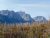 Otokomi Lake landscape with rugged Glacier National Park peaks and a forest of bare, gray tree trunks.