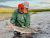 Fly fisher wading in a Yellowstone River bend during a guided trip in Yellowstone National Park.