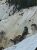 Glacial Boulder Trailhead at Yellowstone National Park reveals a snowy slope with rugged boulders and pine forest.