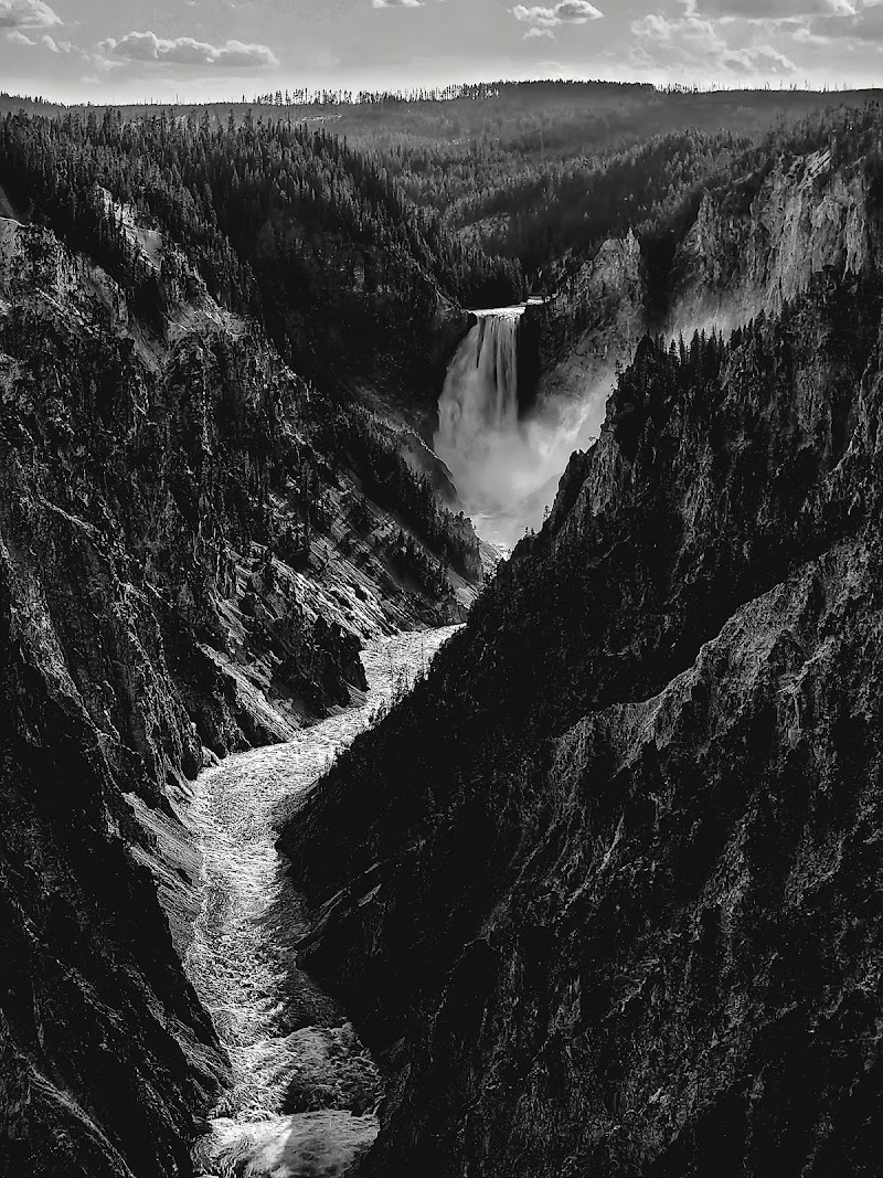 Artist Point overlook in Yellowstone National Park offers dramatic views down the Grand Canyon of the Yellowstone toward Lower Falls.