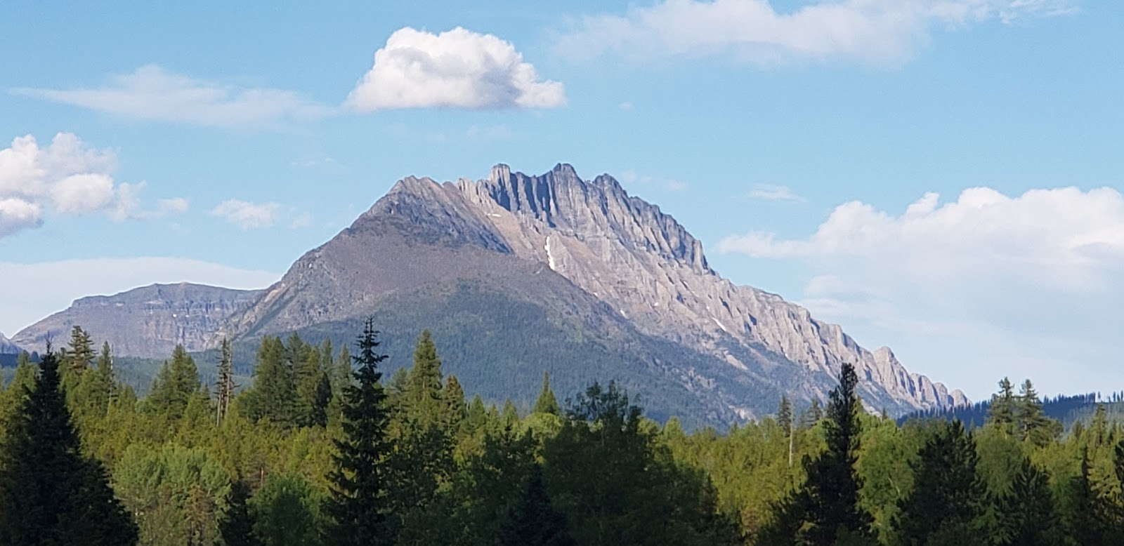 Long Knife Peak rises above a green forest under a bright blue sky in Glacier National Park, rugged and majestic.