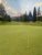 Golf hole with yellow flag on a bright green putting surface near Glacier National Park, framed by tall pines at a lakeside course