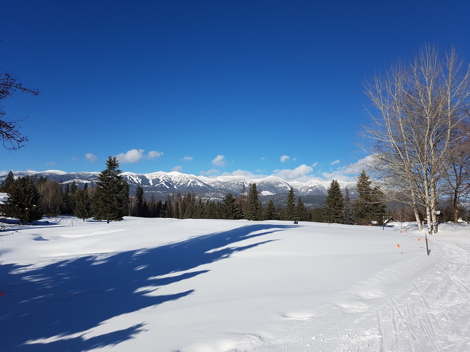 Snow-covered meadow near Whitefish Lake with distant Glacier National Park mountains beneath a clear blue sky.