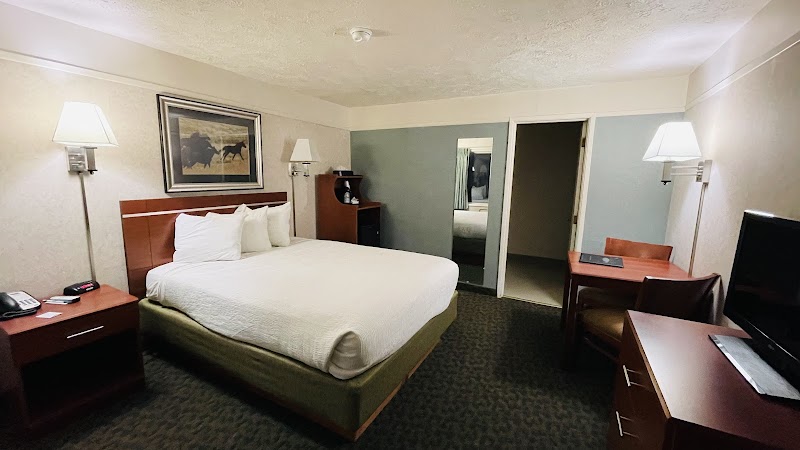 Cozy hotel room with a king bed, two nightstands, desk, TV, and framed horse artwork in Yellowstone National Park.