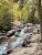 Avalanche Lake along a rocky stream in Glacier National Park, surrounded by evergreen trees and sunlit pines.