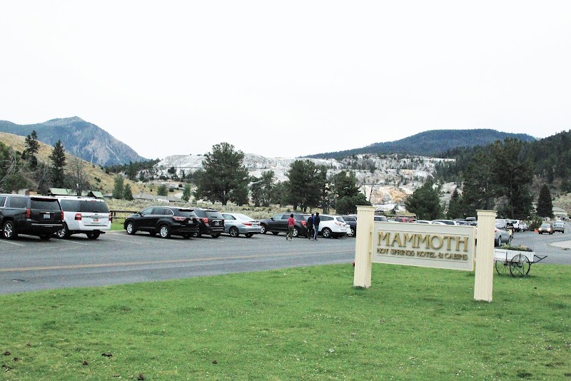 Parking lot beside a grassy field with distant hills and trees in Yellowstone National Park, with a wooden sign near the pavement.