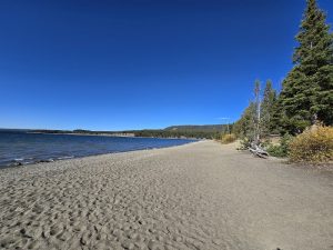 Fishing Bridge area along Yellowstone Lake at Yellowstone National Park, with a sandy shoreline, evergreen trees, and a clear blue sky.