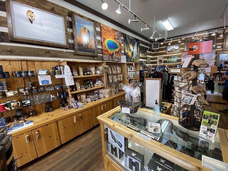 Inside a gift shop at Yellowstone National Park with wooden shelves, framed wildlife art, and glass display cases of souvenirs.