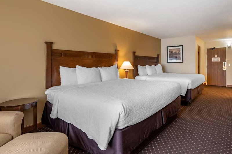 Two queen beds with white duvets and pillows, dark wood headboards, a lamp between them, and a seating chair in a Yellowstone National Park hotel room.