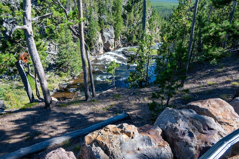 Yellowstone National Park overlook showing a rushing river with a small waterfall, framed by pine trees and rocky banks.