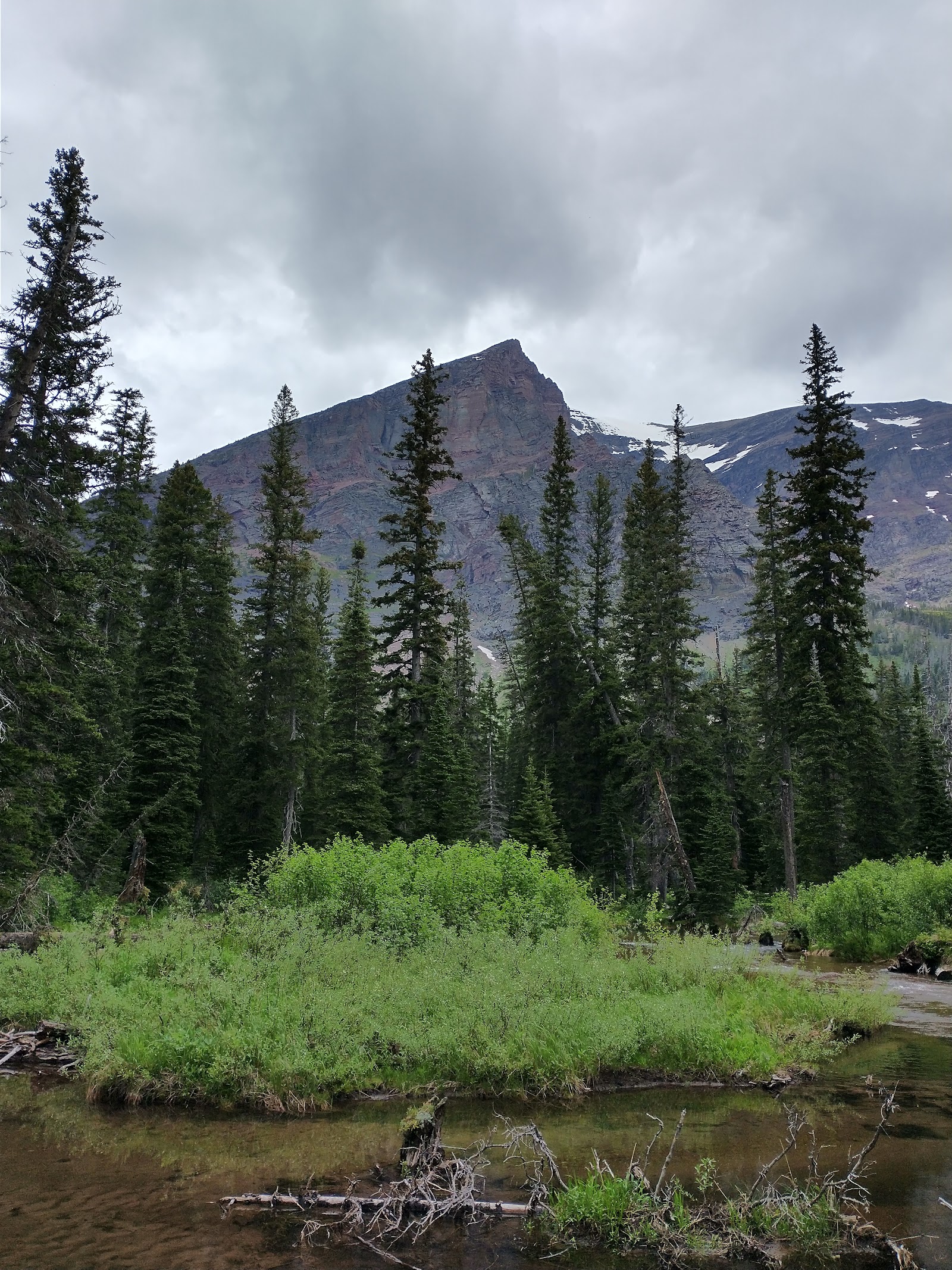 Snow-dusted peaks rise behind a dense evergreen forest and a shallow river at Twin Falls, Glacier National Park.