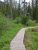 Twin Falls boardwalk winds through a lush meadow and forest in Glacier National Park