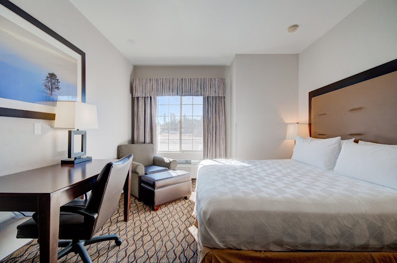 Spacious hotel room in Yellowstone National Park with a king bed, dark wood desk, chair, and a window with striped curtains.