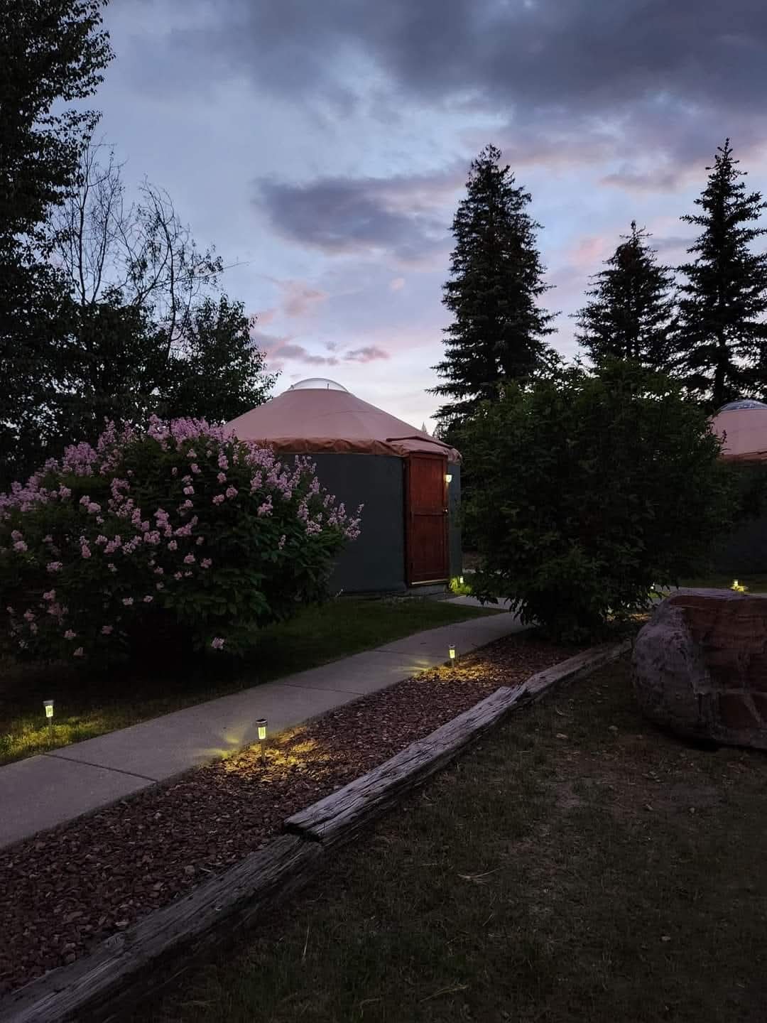 Evening view of pink-domed yurts along a lit path, flowering bushes, and tall pines in Glacier National Park.