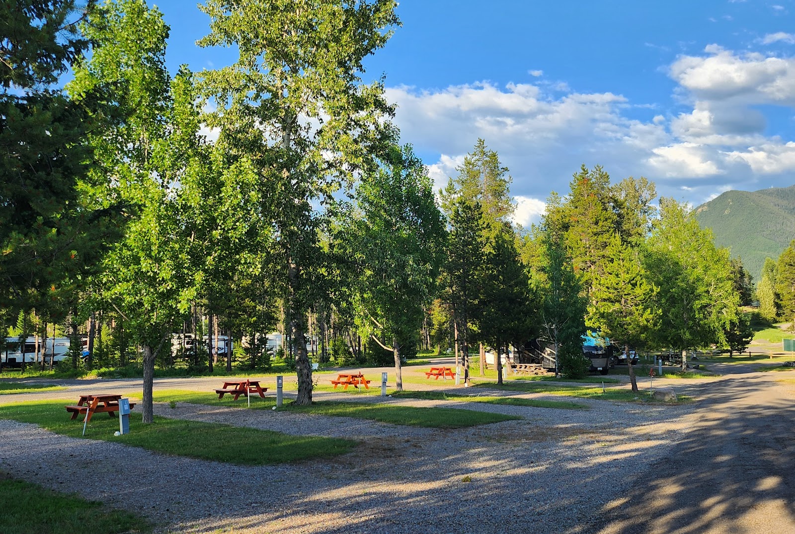 Shaded campground in Glacier National Park with tall trees, red picnic tables, gravel lanes, and RVs parked among pines.