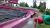 Pink twisting water slide at a family water park in Glacier National Park, with riders on tubes