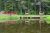 Pond at Glacier National Park campground reflects trees and red wooden fencing along the shore.
