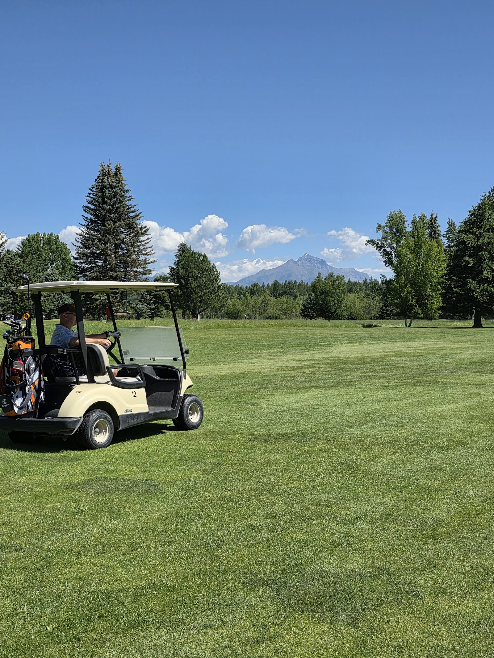 Cream golf cart with bags parked on a lush green fairway, pine trees and distant snow-capped peaks in Glacier National Park.