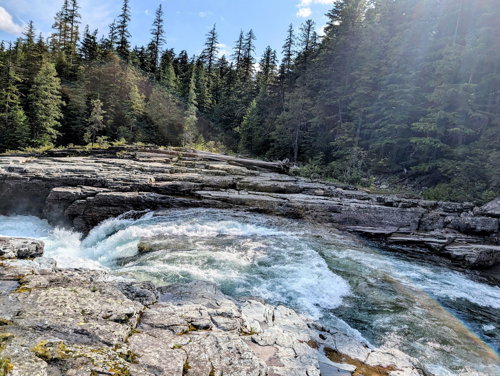 Rushing turquoise river cuts through layered gray rock slabs beside dense evergreen forest in Glacier National Park.