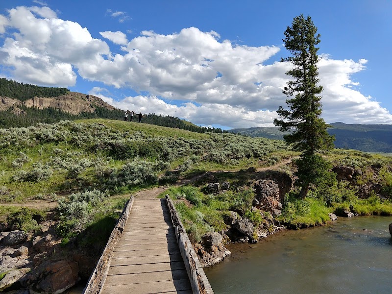 Yellowstone National Park: a wooden footbridge crosses a shallow river, sagebrush, a lone tall tree, and grassy hills.