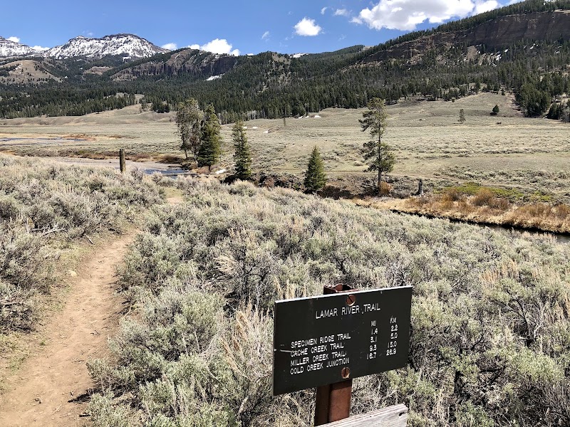 Lamar River Trailhead sign in Yellowstone National Park; dirt path through sagebrush toward distant pines and snow-capped peaks.