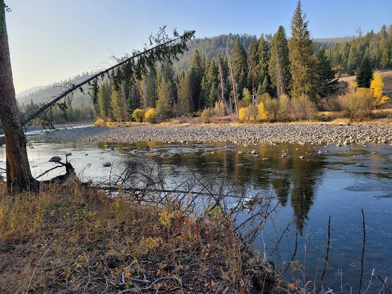 Yellowstone National Park scene along the Lamar River with calm water, a rocky shoreline, and a dense pine forest in autumn colors.