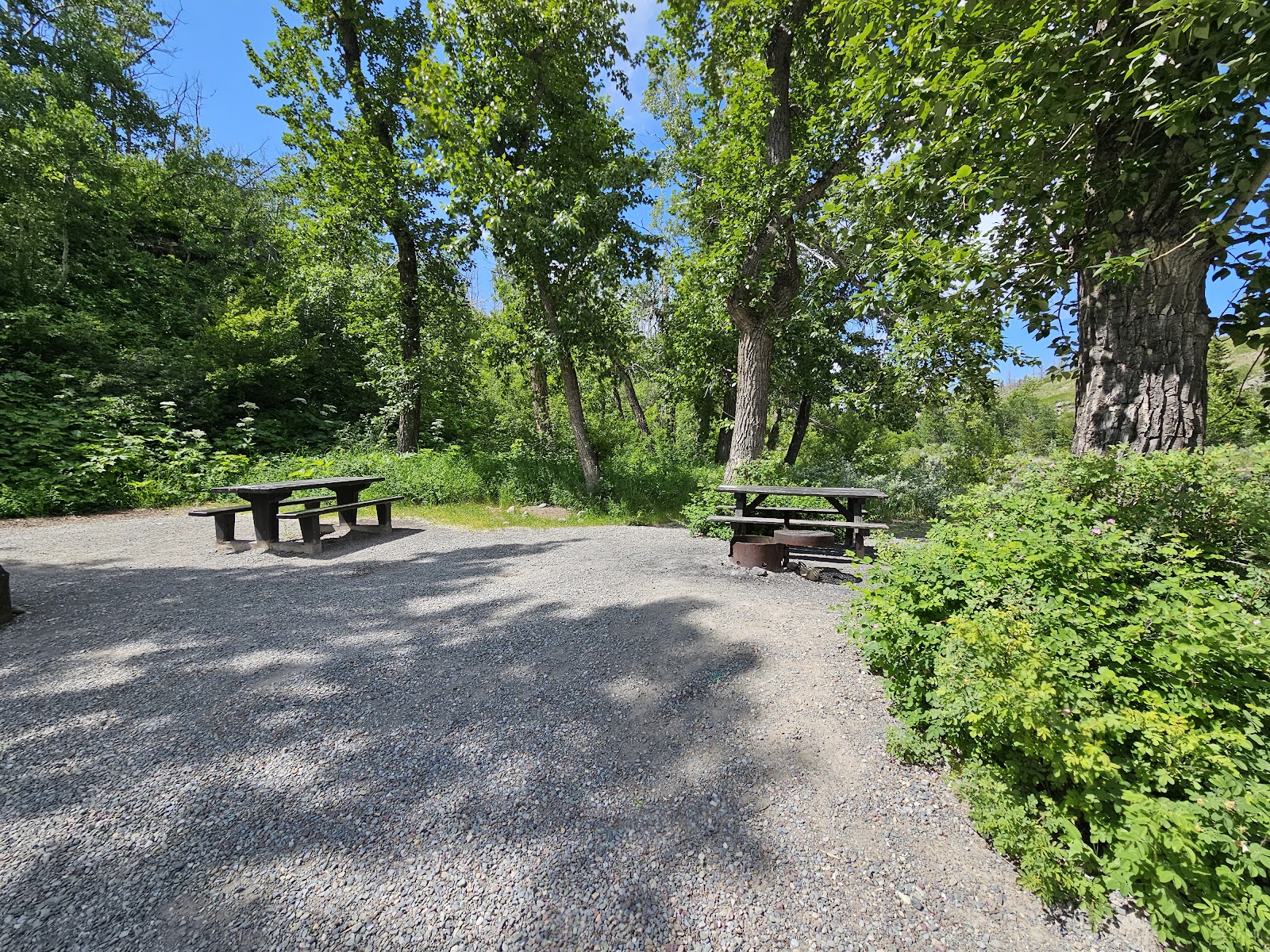 Pass Creek day use area picnic tables sit among shaded trees in Glacier National Park.