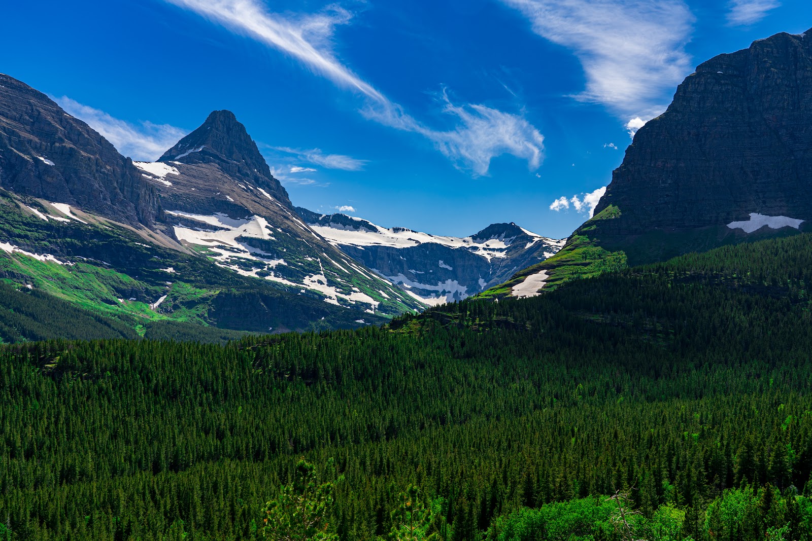 Iceberg Ptarmigan Trailhead at Glacier National Park, snow-dusted peaks rise above dense evergreen valley.