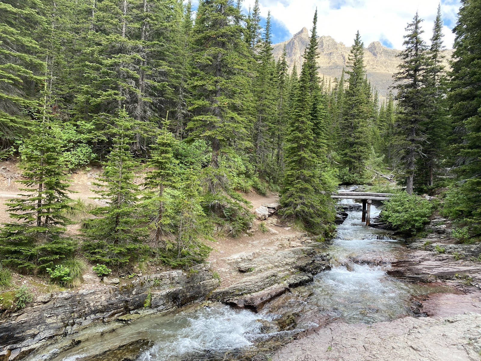 Iceberg Ptarmigan Trailhead lies beside a rushing creek shaded by evergreen trees with distant mountains in Glacier National Park.