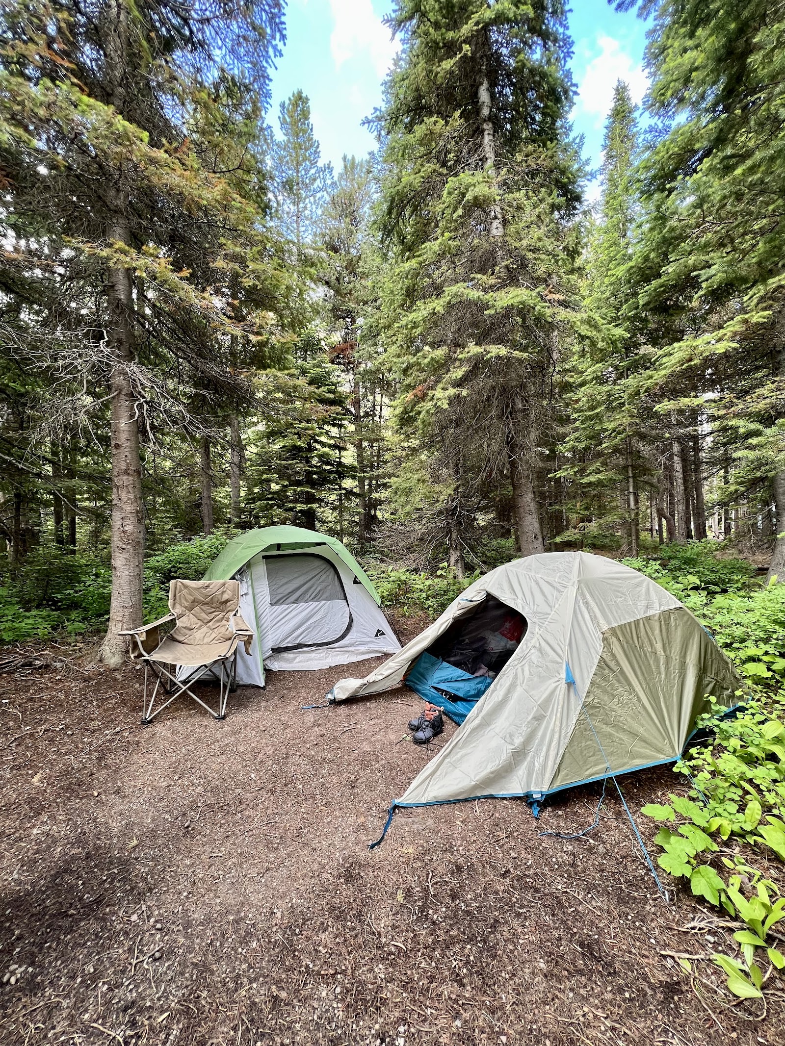 Two camping tents, a beige folding chair, and a blue sleeping pad sit on a dirt site among tall evergreen trees in Glacier National Park.
