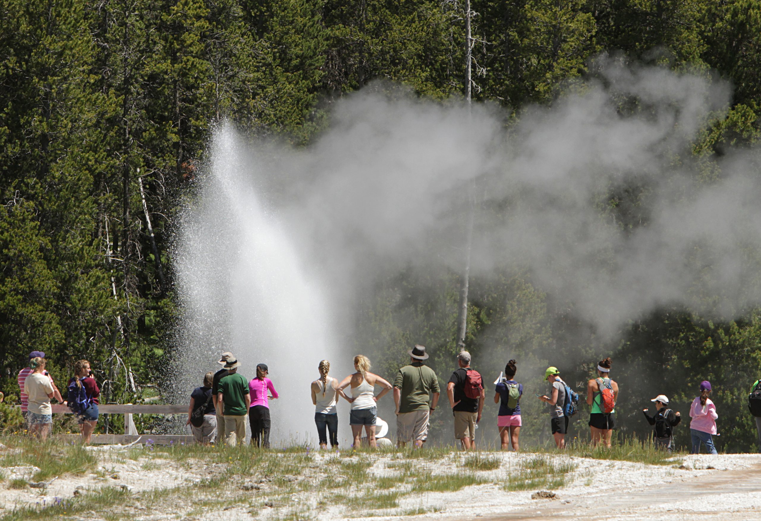 Montana wilderness Yellowstone National Park